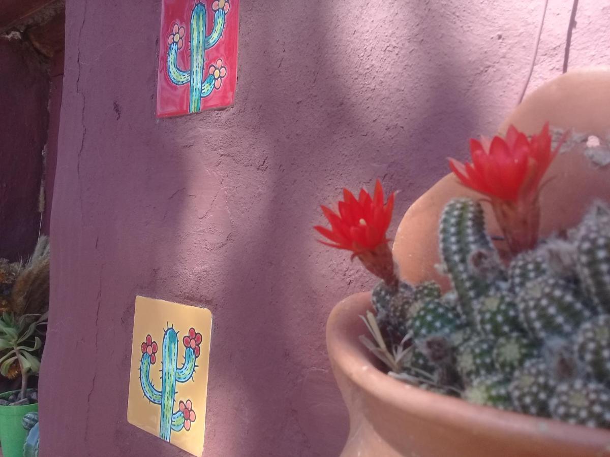 Cabana El Cardon,Casita En El Campo Quebradeno Humahuaca Eksteriør bilde