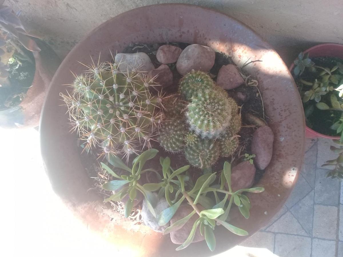 Cabana El Cardon,Casita En El Campo Quebradeno Humahuaca Eksteriør bilde
