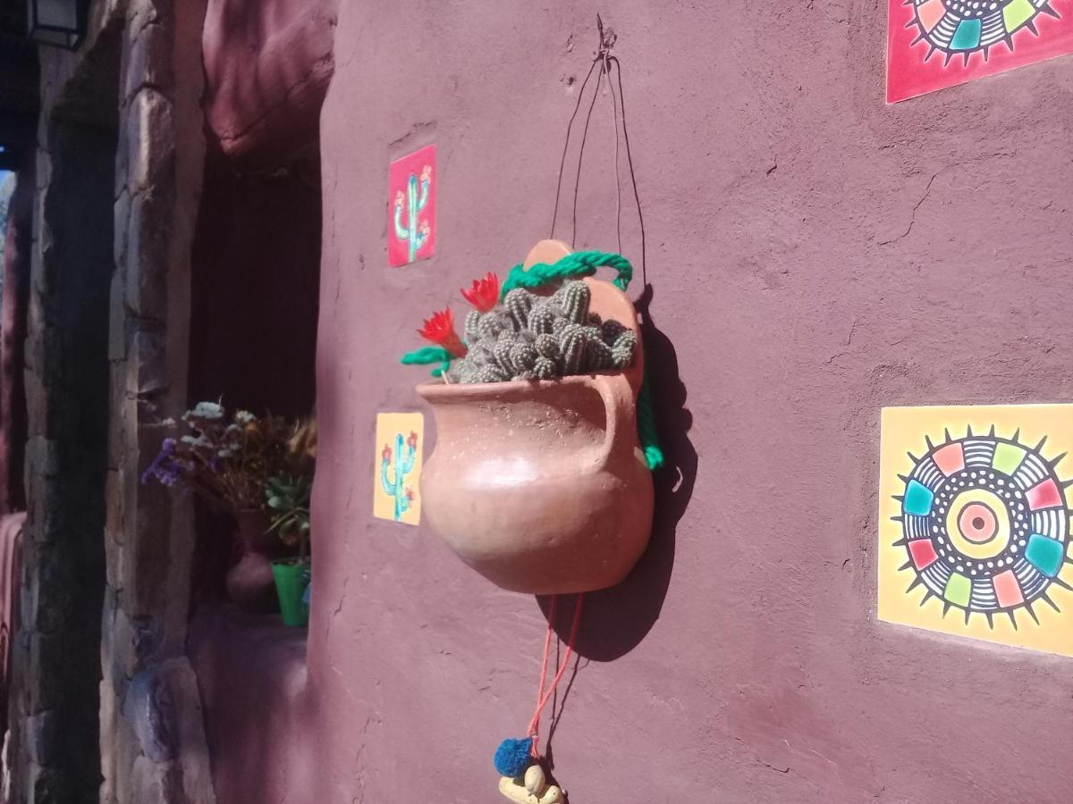 Cabana El Cardon,Casita En El Campo Quebradeno Humahuaca Eksteriør bilde