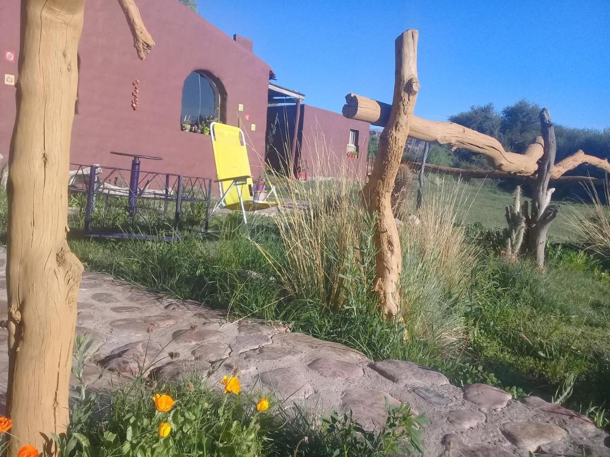 Cabana El Cardon,Casita En El Campo Quebradeno Humahuaca Eksteriør bilde