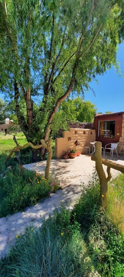 Cabana El Cardon,Casita En El Campo Quebradeno Humahuaca Eksteriør bilde