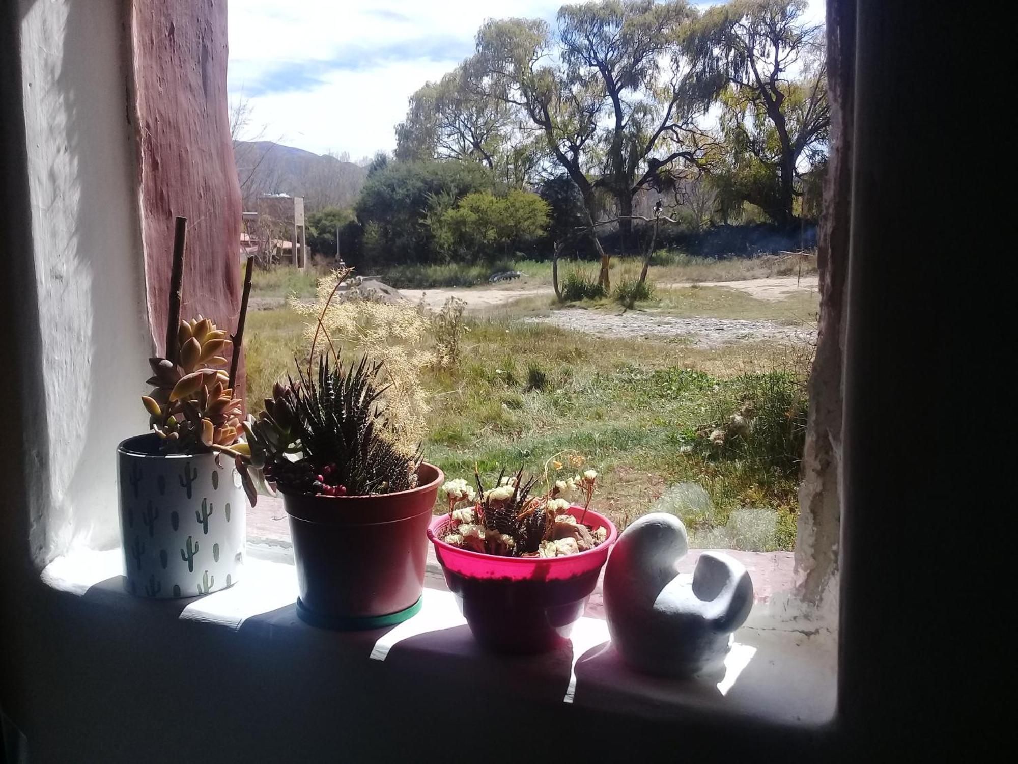 Cabana El Cardon,Casita En El Campo Quebradeno Humahuaca Eksteriør bilde