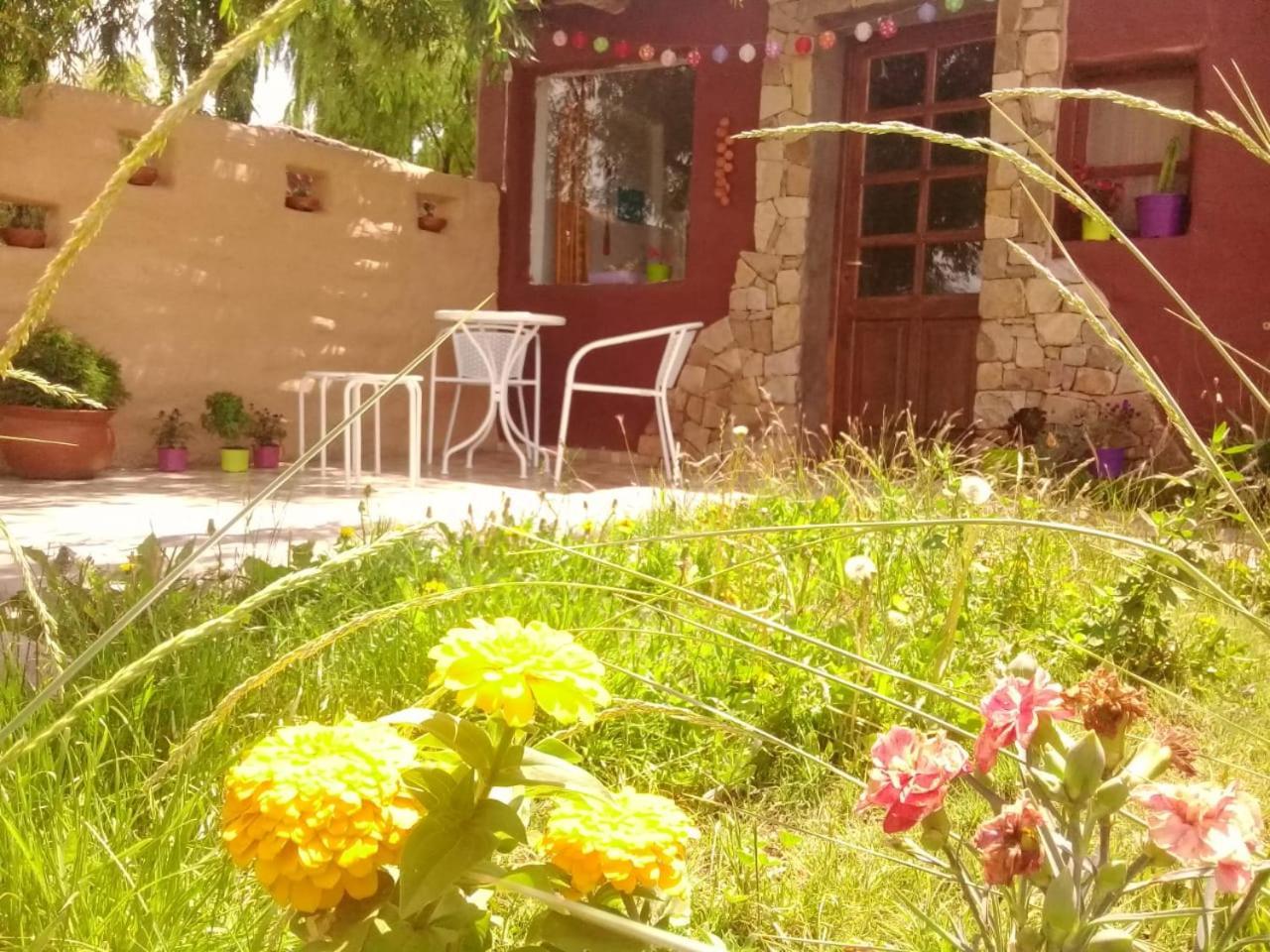 Cabana El Cardon,Casita En El Campo Quebradeno Humahuaca Eksteriør bilde