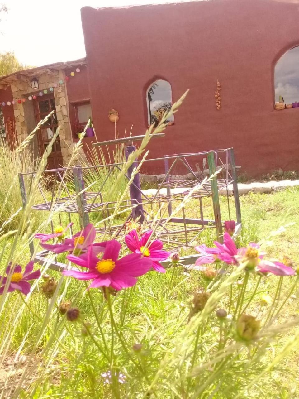 Cabana El Cardon,Casita En El Campo Quebradeno Humahuaca Eksteriør bilde
